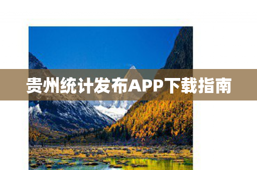 贵州统计发布APP下载指南
