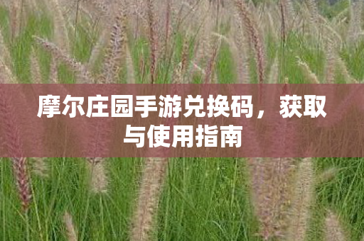 摩尔庄园手游兑换码，获取与使用指南