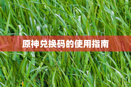 原神兑换码的使用指南