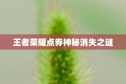 王者荣耀点券神秘消失之谜