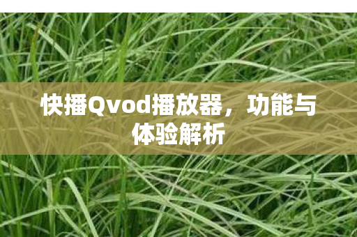 快播Qvod播放器，功能与体验解析