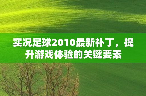 实况足球2010最新补丁，提升游戏体验的关键要素