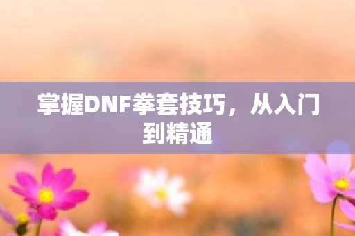 掌握DNF拳套技巧，从入门到精通