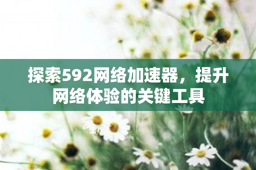 探索592网络加速器，提升网络体验的关键工具
