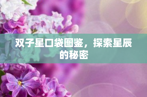 双子星口袋图鉴，探索星辰的秘密