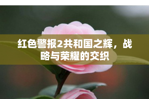 红色警报2共和国之辉，战略与荣耀的交织