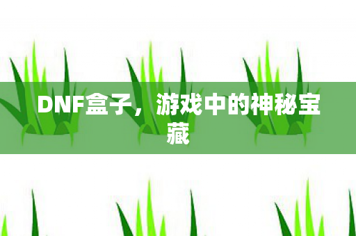DNF盒子，游戏中的神秘宝藏