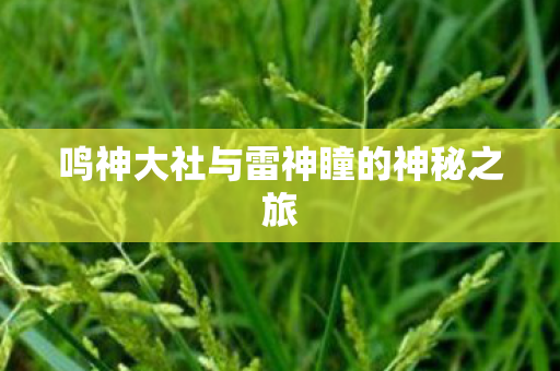鸣神大社与雷神瞳的神秘之旅