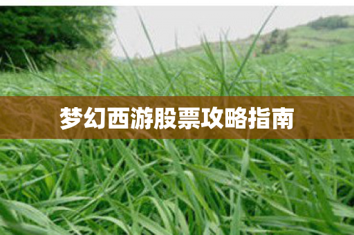 梦幻西游股票攻略指南