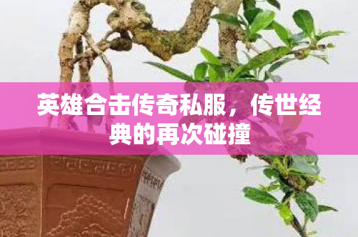 英雄合击传奇私服，传世经典的再次碰撞