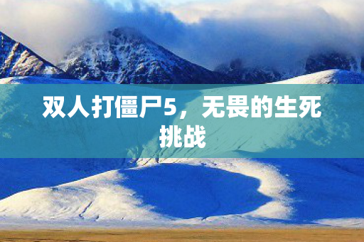 双人打僵尸5，无畏的生死挑战