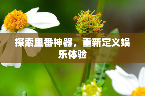 探索里番神器，重新定义娱乐体验