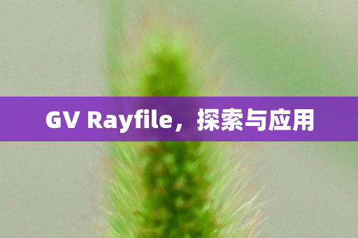 GV Rayfile，探索与应用