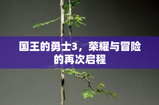 国王的勇士3，荣耀与冒险的再次启程