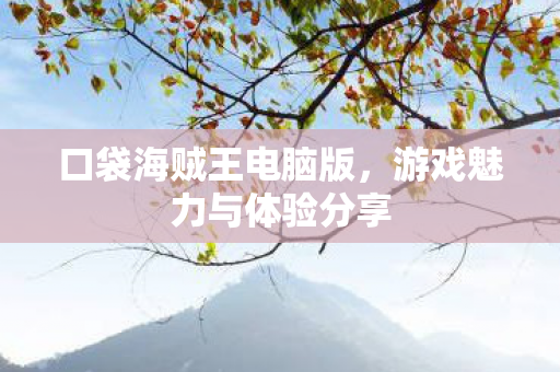 口袋海贼王电脑版，游戏魅力与体验分享