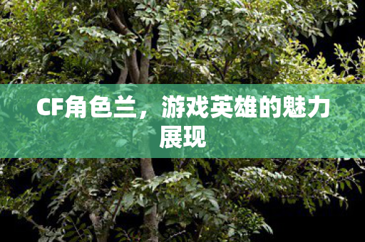 CF角色兰，游戏英雄的魅力展现