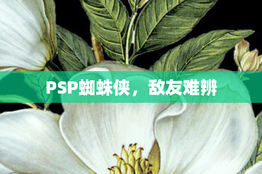 PSP蜘蛛侠，敌友难辨