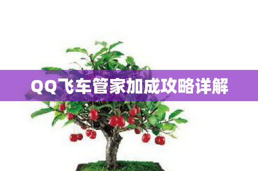 QQ飞车管家加成攻略详解