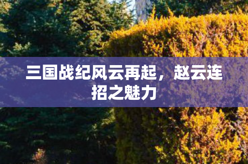 三国战纪风云再起，赵云连招之魅力