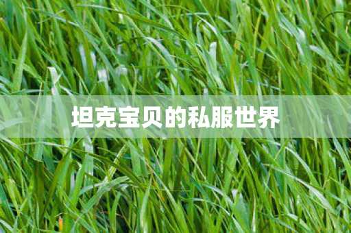 坦克宝贝的私服世界