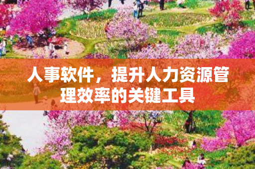 人事软件，提升人力资源管理效率的关键工具