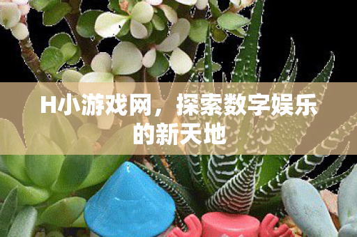 H小游戏网，探索数字娱乐的新天地