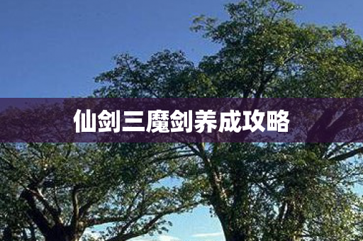 仙剑三魔剑养成攻略