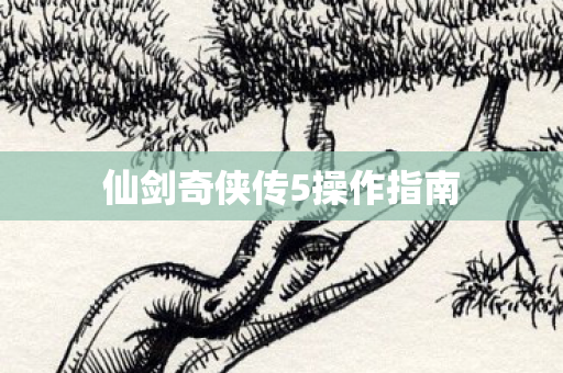 仙剑奇侠传5操作指南