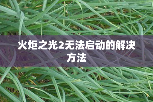 火炬之光2无法启动的解决方法