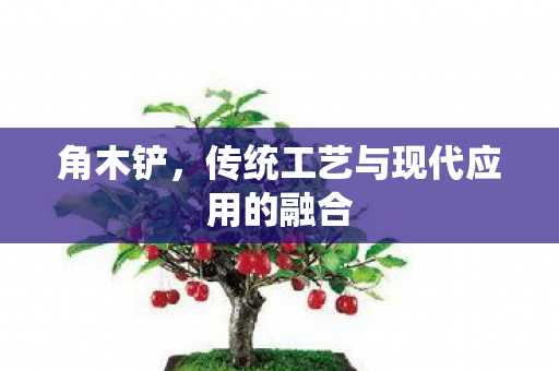 角木铲，传统工艺与现代应用的融合