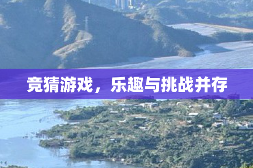 竞猜游戏，乐趣与挑战并存