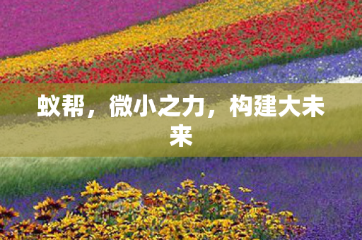 蚁帮，微小之力，构建大未来