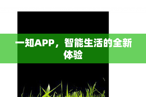 一知APP，智能生活的全新体验