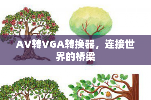 AV转VGA转换器，连接世界的桥梁