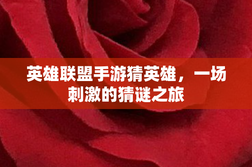 英雄联盟手游猜英雄，一场刺激的猜谜之旅