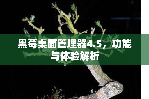 黑莓桌面管理器4.5，功能与体验解析