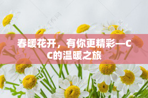 春暖花开，有你更精彩—CC的温暖之旅