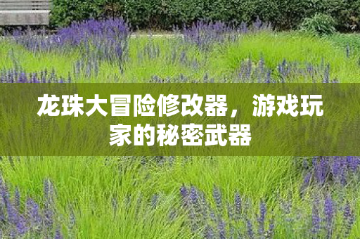 龙珠大冒险修改器，游戏玩家的秘密武器