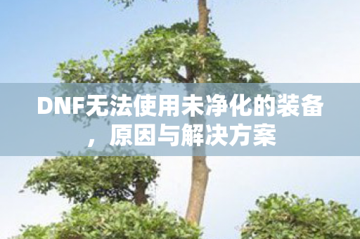 DNF无法使用未净化的装备，原因与解决方案