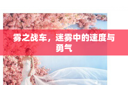 雾之战车，迷雾中的速度与勇气