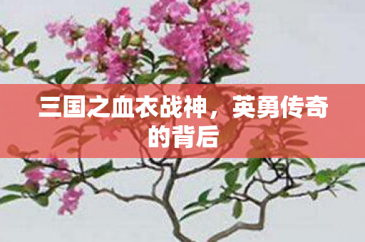 三国之血衣战神，英勇传奇的背后