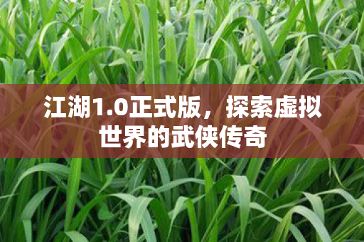 江湖1.0正式版，探索虚拟世界的武侠传奇