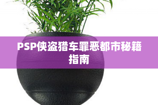 PSP侠盗猎车罪恶都市秘籍指南