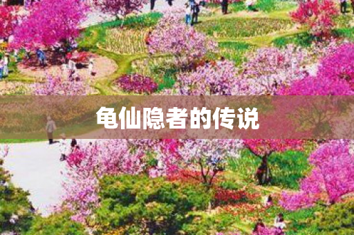 龟仙隐者的传说