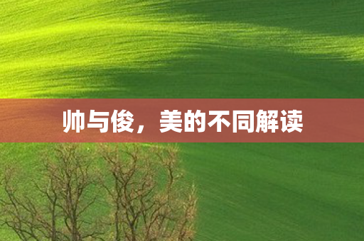 帅与俊，美的不同解读