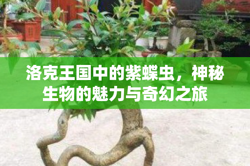 洛克王国中的紫蝶虫，神秘生物的魅力与奇幻之旅