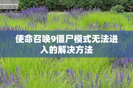 使命召唤9僵尸模式无法进入的解决方法