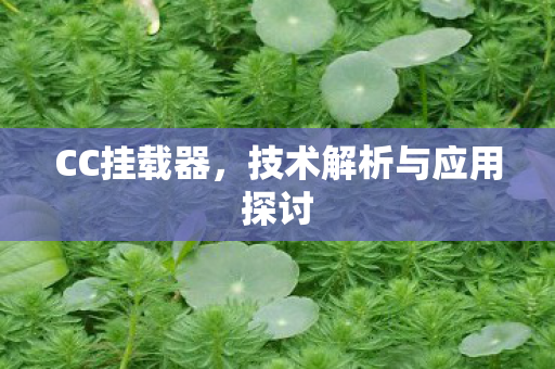 CC挂载器，技术解析与应用探讨