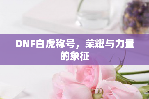 DNF白虎称号，荣耀与力量的象征