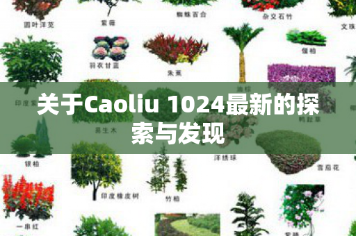 关于Caoliu 1024最新的探索与发现